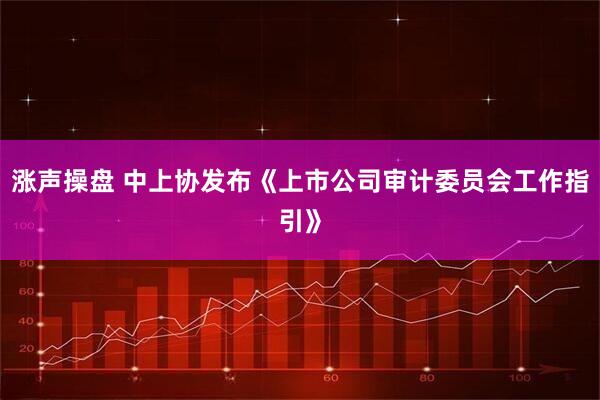 涨声操盘 中上协发布《上市公司审计委员会工作指引》