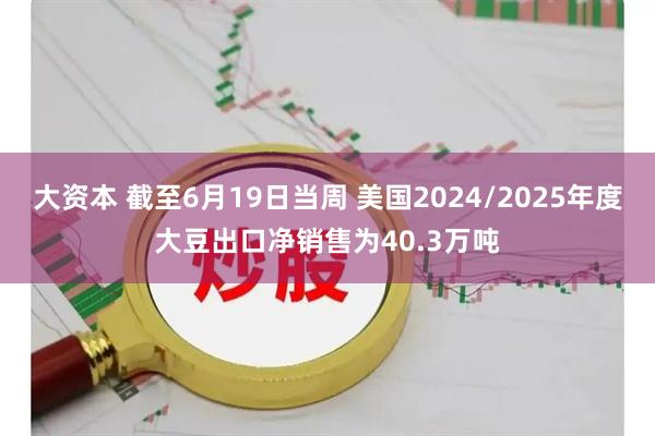 大资本 截至6月19日当周 美国2024/2025年度大豆出口净销售为40.3万吨