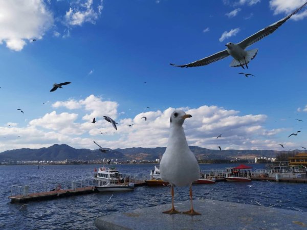 威力财 吉林给用人单位发生育假期成本补贴，更多企业发钱奖励生娃